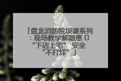 盘龙消防院坝课系列：现场教学解隐患   “下店上宅” 安全 “不打烊”