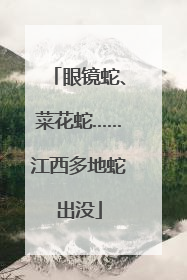 眼镜蛇、菜花蛇……江西多地蛇出没