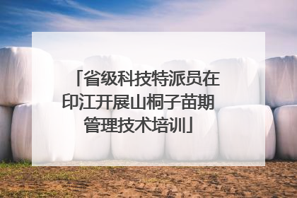 省级科技特派员在印江开展山桐子苗期管理技术培训