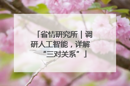 省情研究所｜调研人工智能，详解“三对关系”