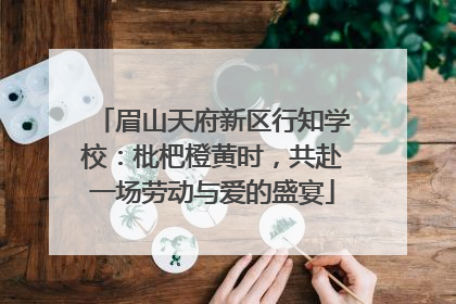 眉山天府新区行知学校：枇杷橙黄时，共赴一场劳动与爱的盛宴