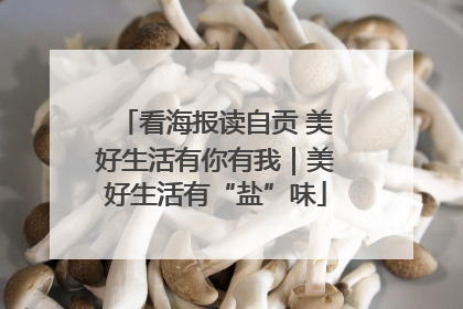 看海报读自贡 美好生活有你有我｜美好生活有“盐”味