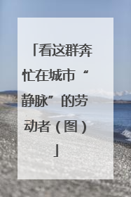 看这群奔忙在城市“静脉”的劳动者（图）