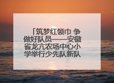 筑梦红领巾 争做好队员——安徽省龙亢农场中心小学举行少先队新队员入队仪式