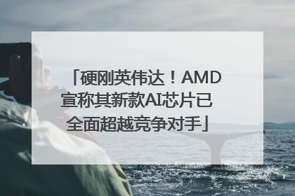 硬刚英伟达！AMD宣称其新款AI芯片已全面超越竞争对手