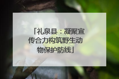 礼泉县：凝聚宣传合力构筑野生动物保护防线
