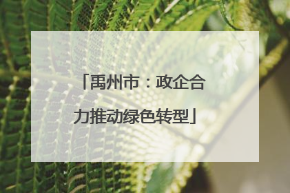 禹州市：政企合力推动绿色转型