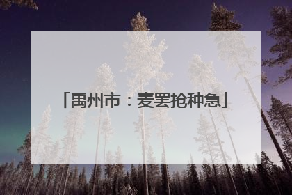禹州市：麦罢抢种急