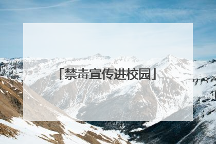 禁毒宣传进校园