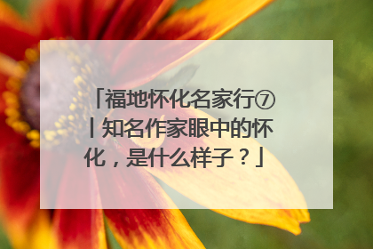 福地怀化名家行⑦丨知名作家眼中的怀化，是什么样子？