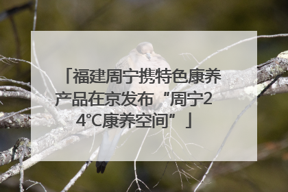 福建周宁携特色康养产品在京发布“周宁24℃康养空间”