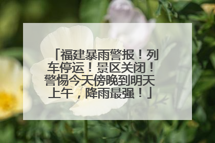 福建暴雨警报！列车停运！景区关闭！警惕今天傍晚到明天上午，降雨最强！