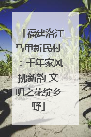 福建洛江马甲新民村：千年家风拂新韵 文明之花绽乡野