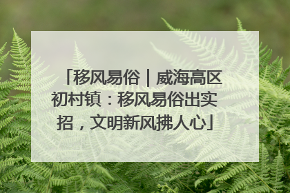 移风易俗｜威海高区初村镇：移风易俗出实招，文明新风拂人心