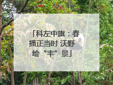 科左中旗：春播正当时 沃野绘“丰”景