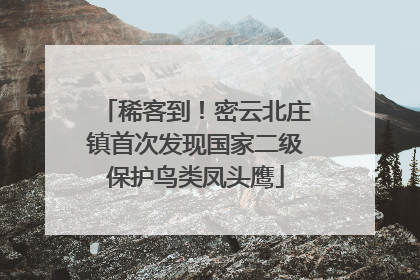 稀客到！密云北庄镇首次发现国家二级保护鸟类凤头鹰