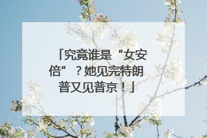 究竟谁是“女安倍”？她见完特朗普又见普京！