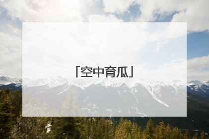 空中育瓜