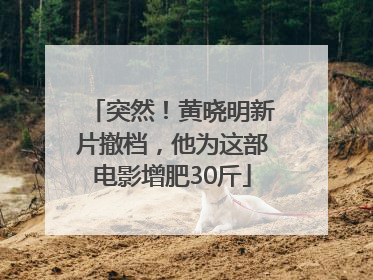 突然！黄晓明新片撤档，他为这部电影增肥30斤