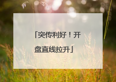 突传利好！开盘直线拉升