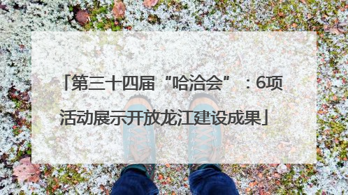 第三十四届“哈洽会”：6项活动展示开放龙江建设成果