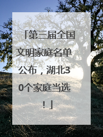 第三届全国文明家庭名单公布，湖北30个家庭当选！