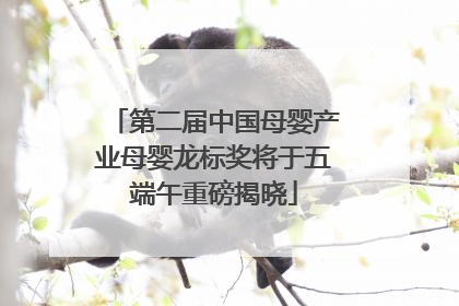第二届中国母婴产业母婴龙标奖将于五端午重磅揭晓