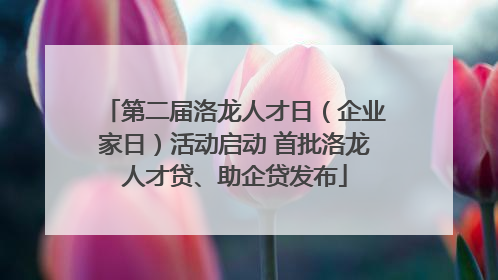 第二届洛龙人才日（企业家日）活动启动 首批洛龙人才贷、助企贷发布