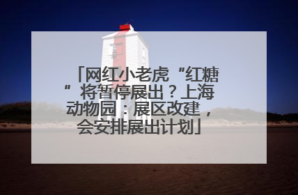 网红小老虎“红糖”将暂停展出？上海动物园：展区改建，会安排展出计划