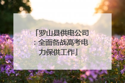 罗山县供电公司：全面备战高考电力保供工作