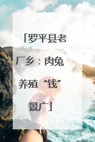 罗平县老厂乡：肉兔养殖“钱”景广