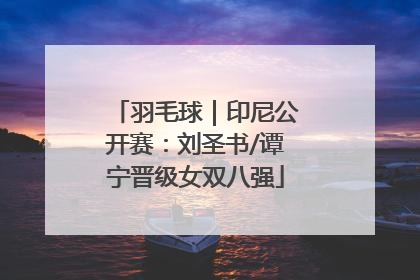 羽毛球｜印尼公开赛：刘圣书/谭宁晋级女双八强