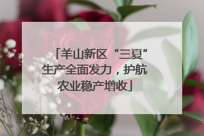 羊山新区“三夏”生产全面发力，护航农业稳产增收