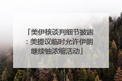 美伊核谈判细节披露：美提议临时允许伊朗继续铀浓缩活动