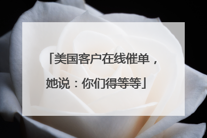 美国客户在线催单，她说：你们得等等