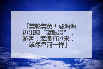 美轮美奂！威海海边出现“蓝眼泪”，游客：海浪打过来，就像星河一样
