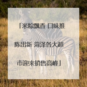 米粽飘香 口味推陈出新 菏泽各大超市迎来销售高峰