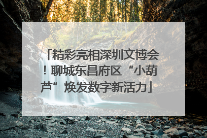 精彩亮相深圳文博会！聊城东昌府区“小葫芦”焕发数字新活力