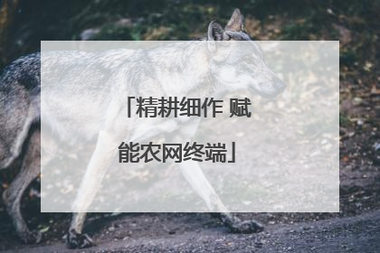 精耕细作 赋能农网终端