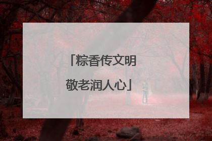 粽香传文明 敬老润人心