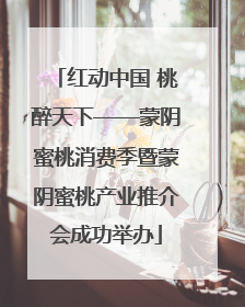 红动中国 桃醉天下——蒙阴蜜桃消费季暨蒙阴蜜桃产业推介会成功举办