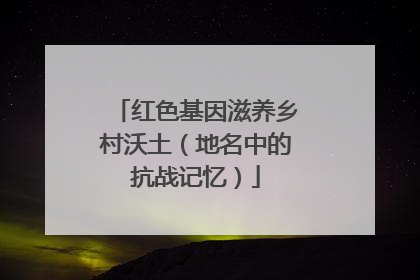 红色基因滋养乡村沃土（地名中的抗战记忆）