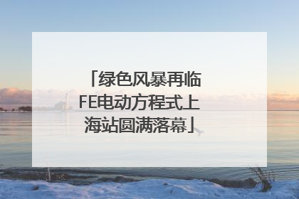 绿色风暴再临 FE电动方程式上海站圆满落幕