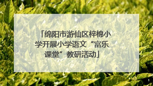 绵阳市游仙区梓棉小学开展小学语文“富乐课堂”教研活动