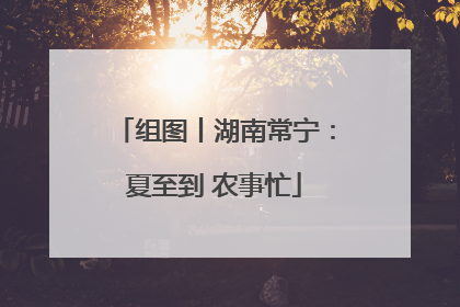 组图丨湖南常宁：夏至到 农事忙