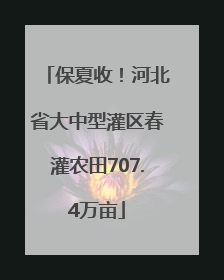 保夏收！河北省大中型灌区春灌农田707.4万亩