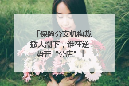 保险分支机构裁撤大潮下，谁在逆势开“分店”