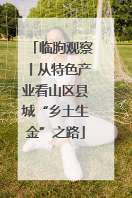 临朐观察丨从特色产业看山区县城“乡土生金”之路
