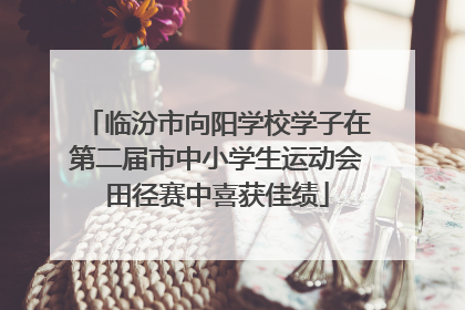 临汾市向阳学校学子在第二届市中小学生运动会田径赛中喜获佳绩