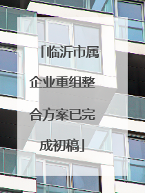 临沂市属企业重组整合方案已完成初稿